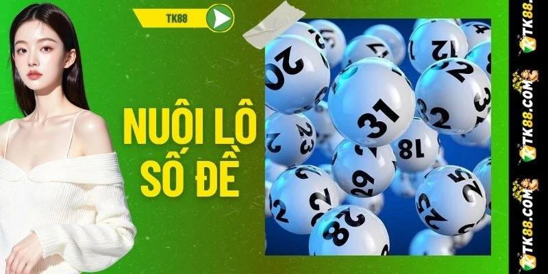 Nuôi Lô Số Đề