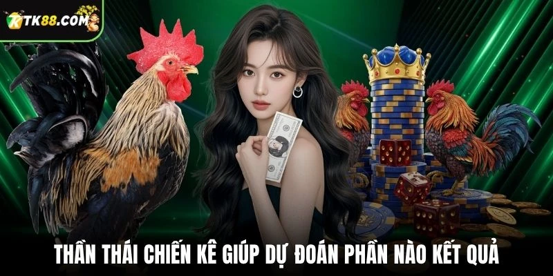Thần thái chiến kê giúp dự đoán phần nào kết quả